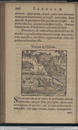 Vulpes & Hircus
