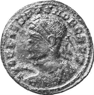 Crispus