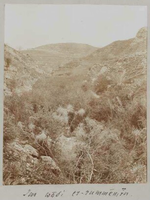 Im wadi es-rummemin [?].