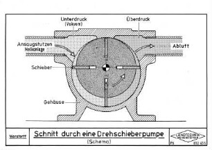 Schnitt durch eine Drehschieberpumpe