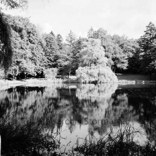Kurpark: Salzteich