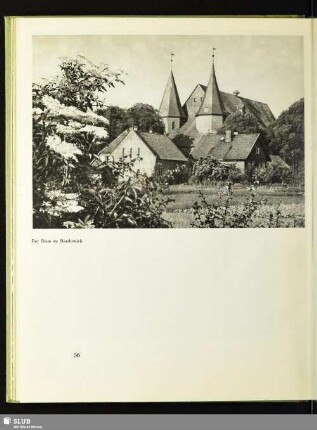 Der Dom zu Bardowiek