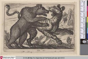 [Bär und Leopard; Bear and Leopard]