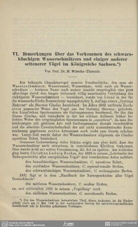 Bemerkungen über das Vorkommen des schwarzbäuchigen Wasserschmätzers und einiger anderer seltener Vögel im Königreiche Sachsen