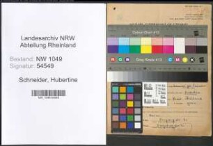 Entnazifizierung Hubertine Schneider , geb. 21.10.1878 (Kauffrau)