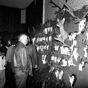 Kreisjägerschaft Stormarn e.V.: Rohlfshagen/Kupfermühle: Gastwirtschaft "Kupfermühle": Saal: Mitgliederversammlung: Ausstellungstafel mit Auswahl an Jagdtrophäen aus den Hegeringen: links Personen bei der Begutachtung
