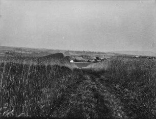 Landschaftsblick : Blick über einen Feldweg auf eine kleine Stadt am Horizont. Rechts und links Getreidefelder