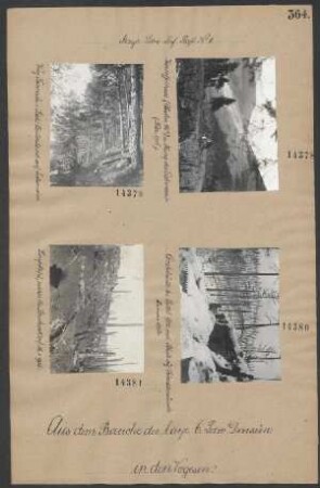 Kartoffelhaus (Abschnitt 42a) und Hang des Eichenrain
