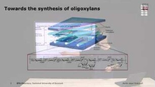 Towards the synthesis of oligoxylans