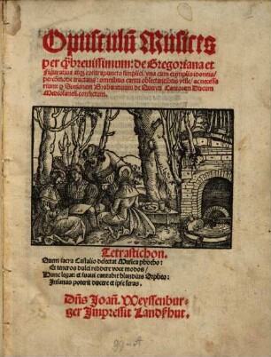 Opusculũ Musices perq[uam] breuissimum: de Gregoriana et Figuratiua atq[ue] contrapuncto simplici, vna cum exemplis idoneis, percõmode tractans: omnibus cantu oblectantibus vtile, ac necessarium