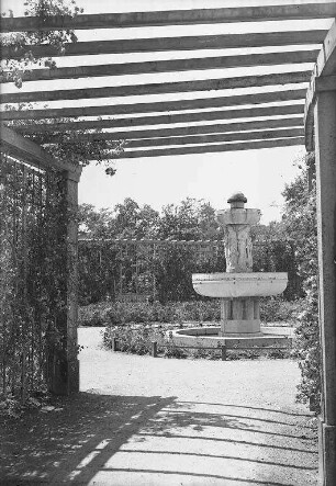 Stadtgarten - Rosengarten