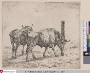 [The two Oxen; Two Steers; Les deux boeufs; Zwei Ochsen]
