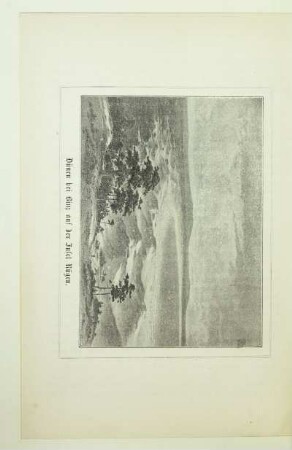 Dünen bei Binz auf der Insel Rügen
