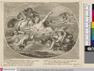 [Venus im Wellengang umgeben von Putti]