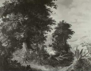 Waldlandschaft