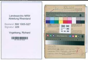 Entnazifizierung Richard Vogelsang , geb. 02.03.1903 (Vers.Vertreter)