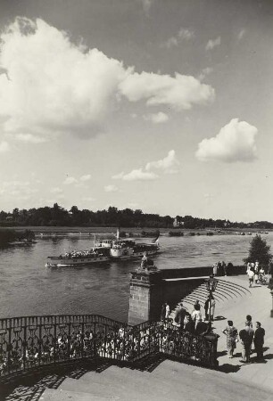 Dresden-Pillnitz. Schloss, Wasserpalais. Freitreppe zur Elbe mit Personen-Seitenraddampfer "Weltfrieden" (1886, Werft Blasewitz")