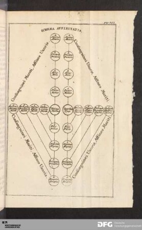 Schema Affinitatis.