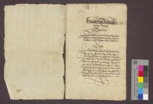 Hans Roth und Genossen reversieren gegenüber dem Kloster Lichtenthal wegen des ihnen zu Erblehen verliehenen Klosterhofs zu Liedolsheim.