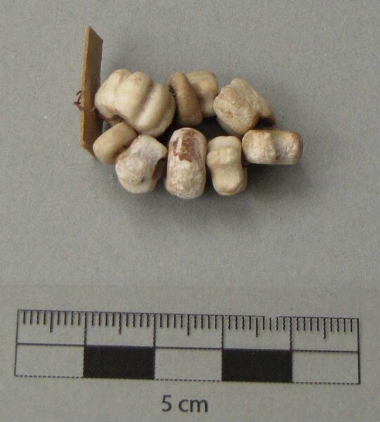 Shell beads