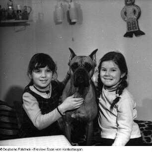 Kinderaufnahmen III: Baby und zwei Mädchen mit Hund