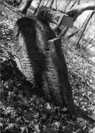 Grabstein 434