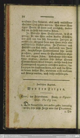 Zwölftes Kapitel. Von den Feigen