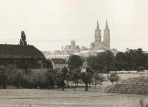 Oschatz, Blick auf die Stadt von Osten vom Schwarzen Stein am Weg