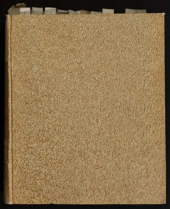 Dissertatio Theologica De Ordine Vaticiniorum, Quæ In Sedecim Prophetis Scripta Exant, Chronologico