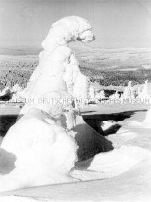 Schneelandschaft in der DDR-Wintersportregion Hala Szrenicka im Polnischen Riesengebirge