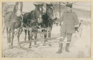 Foto eines Pferdedreigespanns der Fuhrpark-Kolonne Nr. 306 in Fortelbach bei Markirch (Sainte-Marie-aux-Mines)