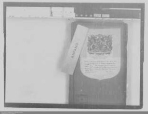 Finanzverwaltung des Fürstentums Nassau-Siegen katholische Linie unter kaiserlicher Administration (Verfügungen des Reichshofrats in Wien an den Fürsten Emanuel Ignaz von Nassau-Siegen)