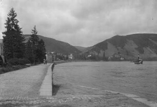 Rheinallee
