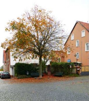 Gesamtanlage "Alter Ortskern"; Flörsheim, Gesamtanlage Alter Ortskern