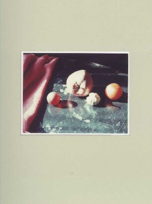 Polaroid #14