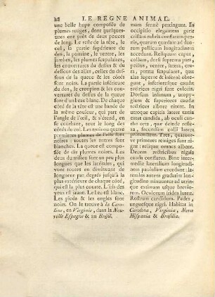 Ornithologie Ou Méthode Contenant La Division Des Oiseaux En Ordres, Sections, Genres, Especes & leurs Variétés : A Laquelle On A Joint Une Description exacte de chaque Espece, avec les Citations des Auteurs qui en ont traité ..., 4