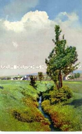 Frühling in Gottesgab