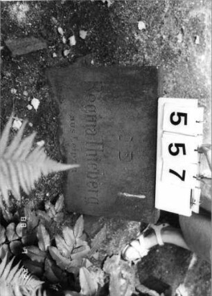 Grabstein 557