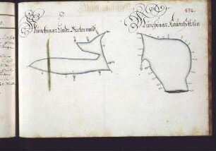 Gerlinger Hut: Münchinger Unterer Birkenwald; Münchinger Kauenhölzle