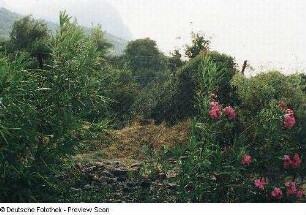 Blick von einem Garten in die Landschaft