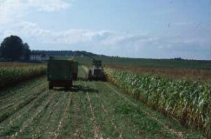Fotografie: Ernteverfahren, Feldhäcksler selbstfahrend, Maissilage, Parallelverfahren