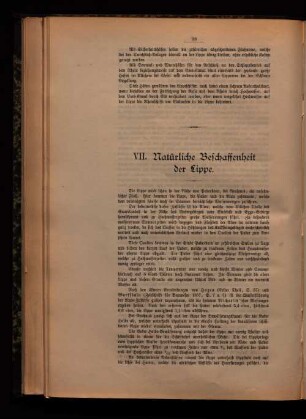 VII. Natürliche Beschaffenheit der Lippe.