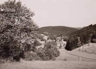 Bad Gottleuba, Mordgrund, Hammergut Bienhof