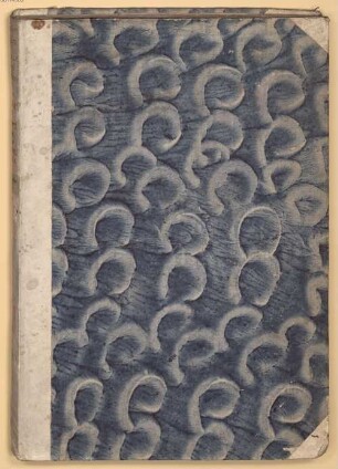 Epistolae monachorum Stamsensium ad Pollingenses - BSB Clm 26454