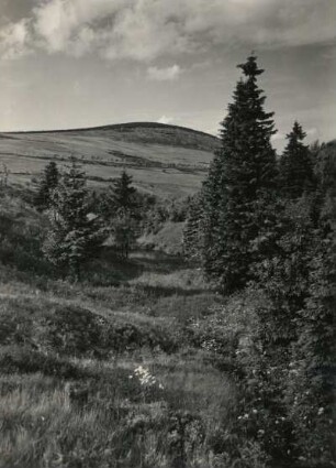 Der Kleine Fichtelberg. Blick aus dem oberen Teil des Zechengrundes