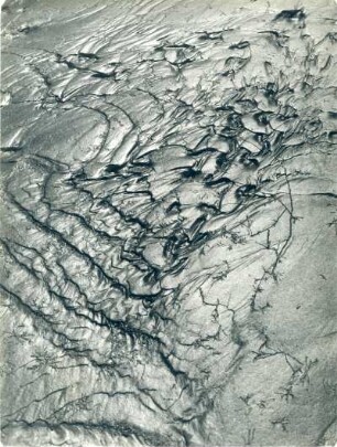 Spuren abfließenden Wassers, Watt