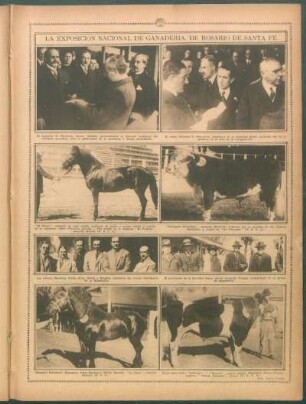 La Exposición Nacional de Ganadería, de Rosario de Santa Fe