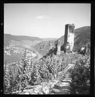 Burgruine Metternich