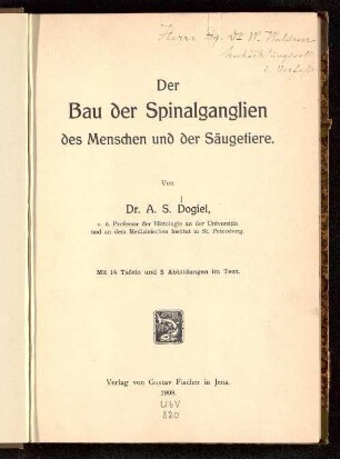 Der Bau der Spinalganglien des Menschen und der Säugetiere