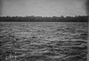 Stromschnelle : Stromschnellen im Fluss Aruwimi